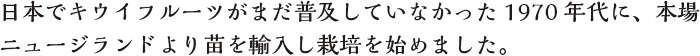 日本でキウイフルーツがまだ普及していなかった1970年代に、本場ニュージーランドより苗を輸入し栽培を始めました。